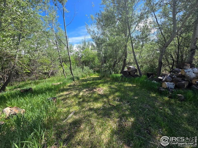 2001 W Prospect Rd, Fort Collins, CO 80526 - photo 2