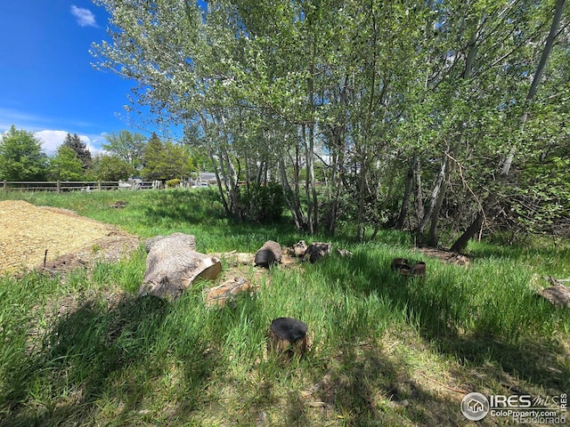 2001 W Prospect Rd, Fort Collins, CO 80526 - photo 3