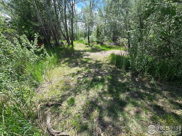 2001 W Prospect Rd, Fort Collins, CO 80526 - photo 4