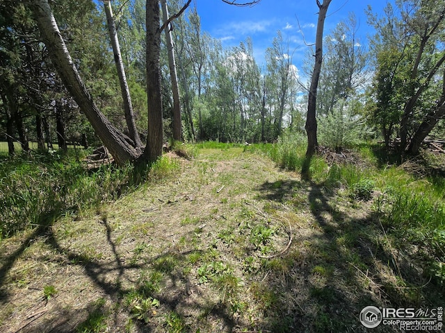 2001 W Prospect Rd, Fort Collins, CO 80526 - photo 5