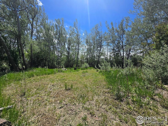 2001 W Prospect Rd, Fort Collins, CO 80526 - photo 6