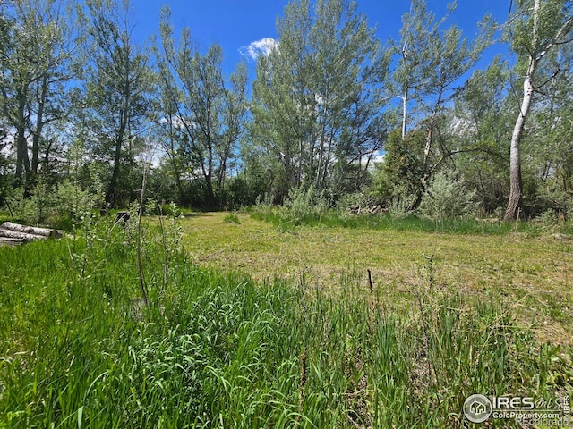 2001 W Prospect Rd, Fort Collins, CO 80526 - photo 7