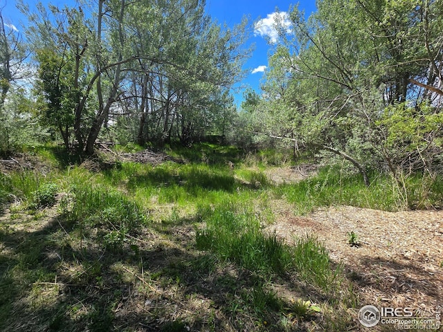 2001 W Prospect Rd, Fort Collins, CO 80526 - photo 8