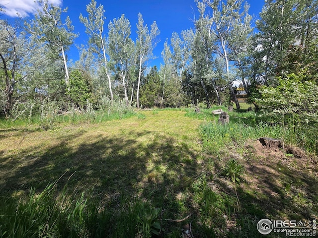 2001 W Prospect Rd, Fort Collins, CO 80526 - photo 9