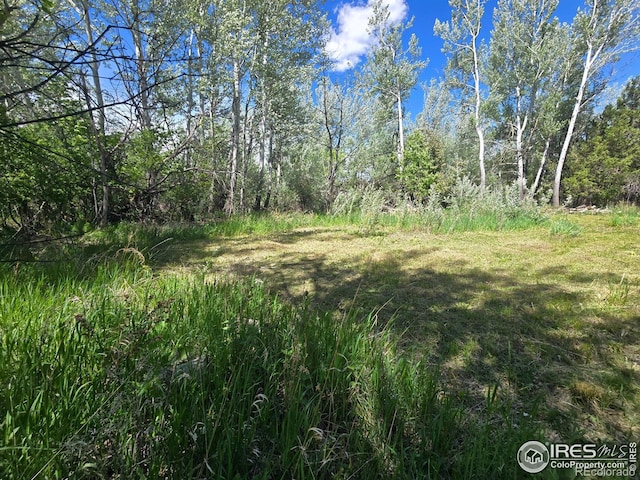 2001 W Prospect Rd, Fort Collins, CO 80526 - photo 10