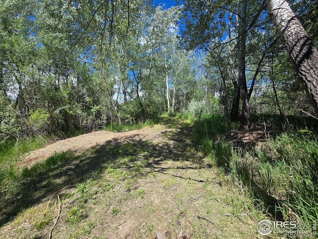 2001 W Prospect Rd, Fort Collins, CO 80526 - photo 11