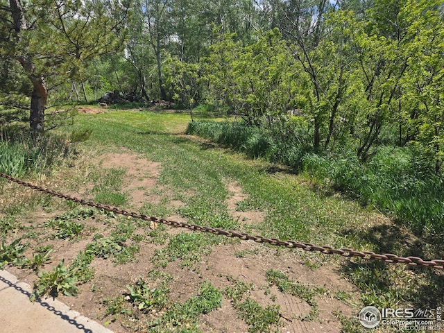 2001 W Prospect Rd, Fort Collins, CO 80526 - photo 13