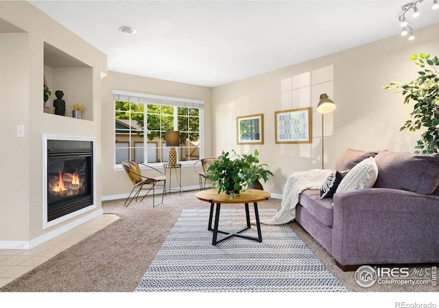5551 Cornerstone Dr Unit 26, Fort Collins, CO 80528 - carpeted living room with a fireplace with flush hearth and baseboards