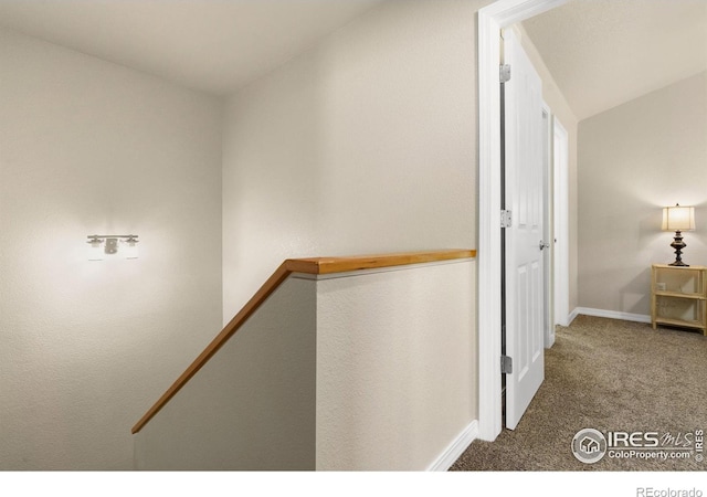 5551 Cornerstone Dr Unit 26, Fort Collins, CO 80528 - hallway with carpet and baseboards