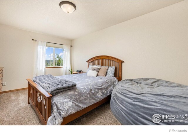 6848 Pettigrew St, Wellington, CO 80549 - bedroom with carpet floors and baseboards
