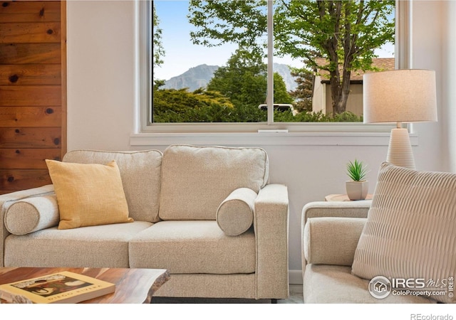 4795 Tantra Dr, Boulder, CO 80305 - living area featuring a mountain view