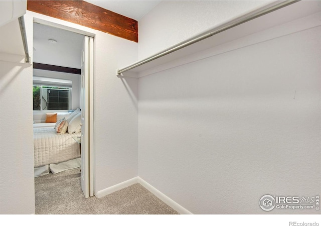 4795 Tantra Dr, Boulder, CO 80305 - spacious closet featuring carpet floors