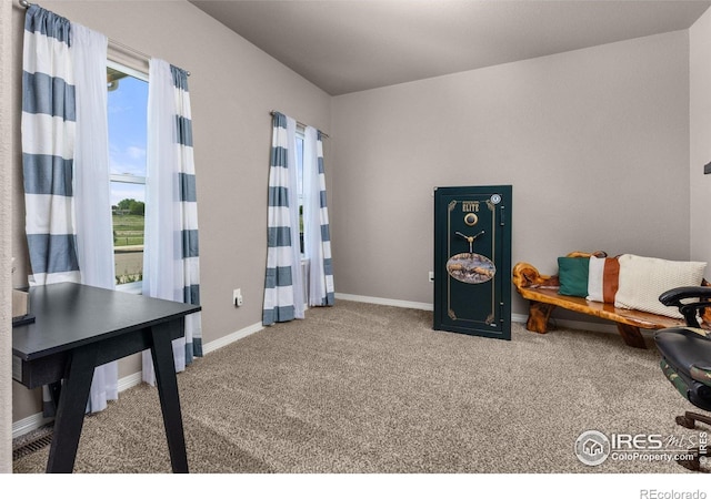 6681 6th St, Frederick, CO 80530 - sitting room with carpet flooring and baseboards