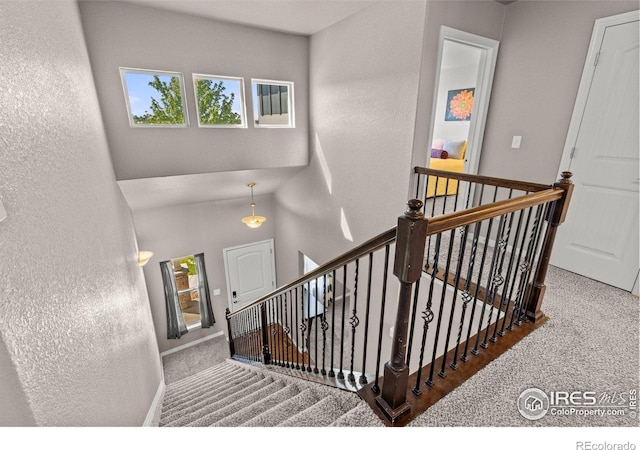 6681 6th St, Frederick, CO 80530 - stairs featuring a textured wall, carpet flooring, and baseboards