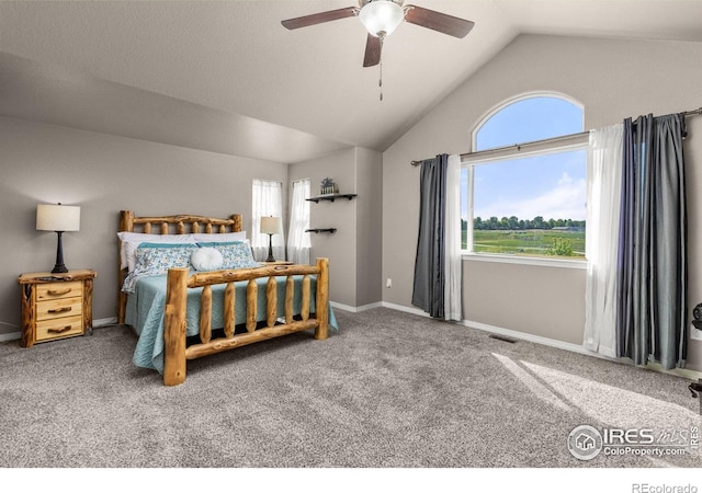 6681 6th St, Frederick, CO 80530 - bedroom featuring vaulted ceiling, multiple windows, carpet, and baseboards