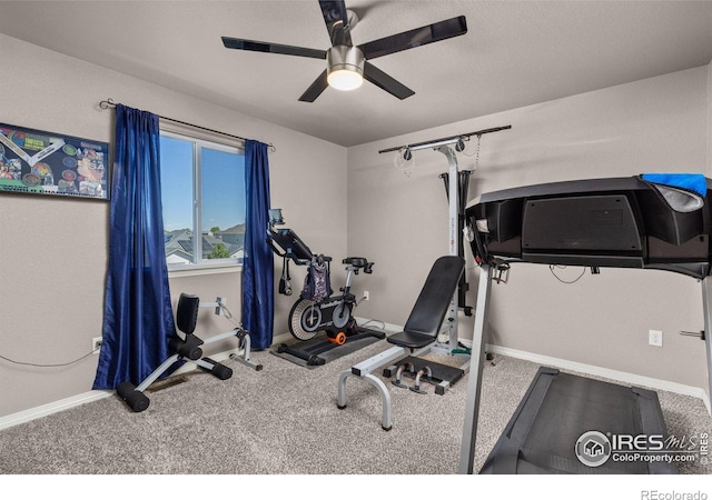 6681 6th St, Frederick, CO 80530 - exercise room featuring a ceiling fan, baseboards, and carpet floors