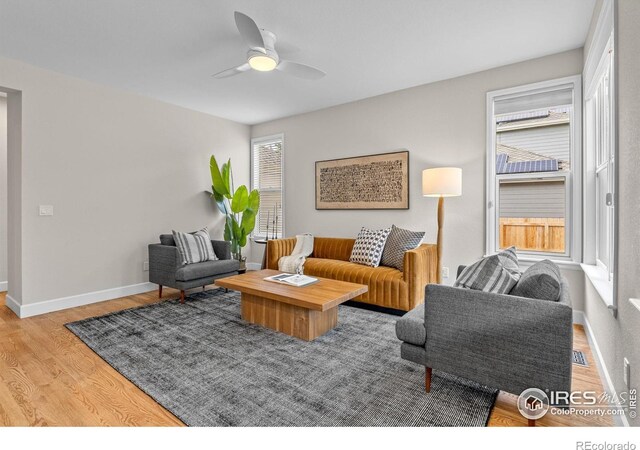 5348 Wild Dunes Ct, Boulder, CO 80301 - living area with wood finished floors, ceiling fan, and baseboards