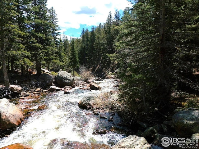 12991 Peak To Peak Hwy, Allenspark, CO 80510 - view of woods
