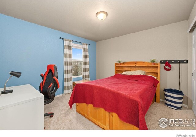 6722 Grainery Rd, Timnath, CO 80547
