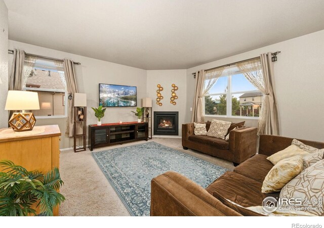 6722 Grainery Rd, Timnath, CO 80547