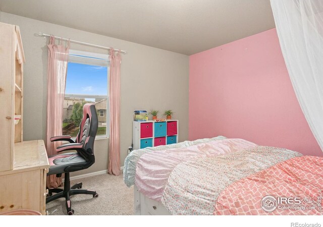 6722 Grainery Rd, Timnath, CO 80547