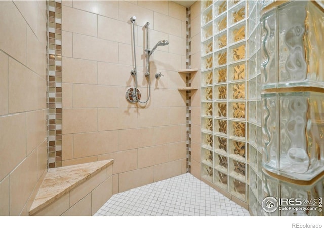 1203 High St, Boulder, CO 80304 - bathroom with walk in shower