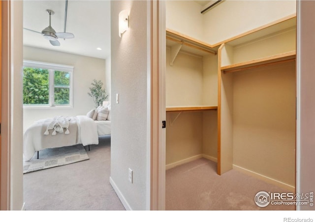 1203 High St, Boulder, CO 80304 - spacious closet featuring carpet floors