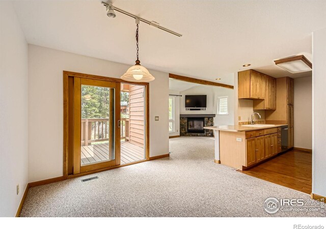 492 Macgregor Ave Unit 1, Estes Park, CO 80517