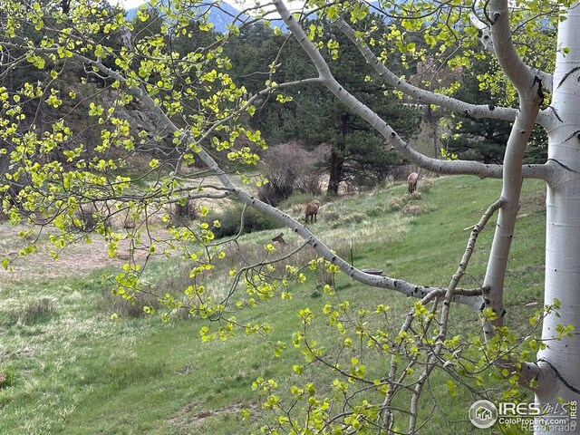 492 Macgregor Ave Unit 1, Estes Park, CO 80517