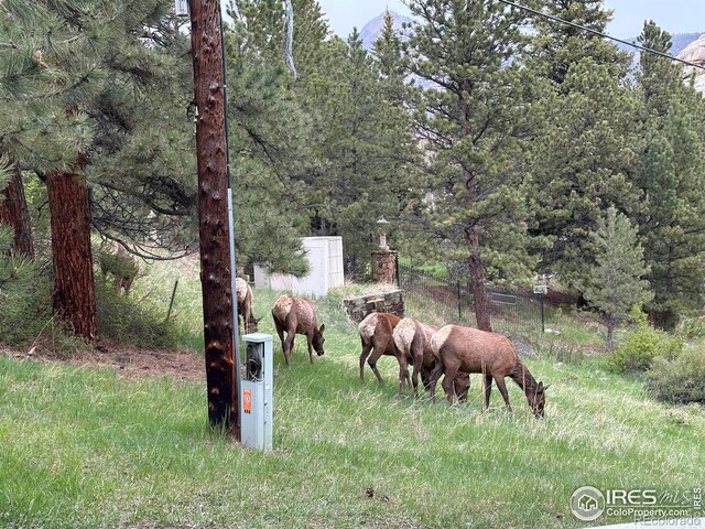 492 Macgregor Ave Unit 1, Estes Park, CO 80517