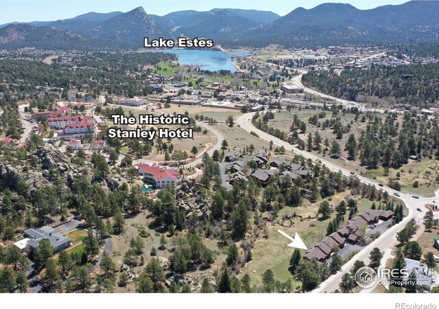 492 Macgregor Ave Unit 1, Estes Park, CO 80517