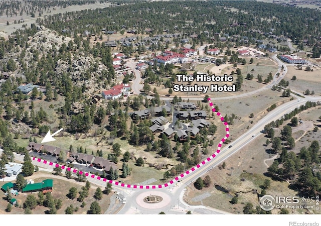 492 Macgregor Ave Unit 1, Estes Park, CO 80517
