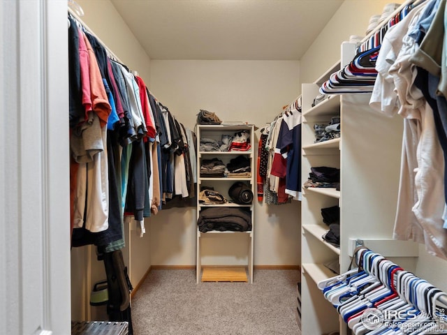 101 SE 2nd St, Berthoud, CO 80513 - spacious closet with carpet floors