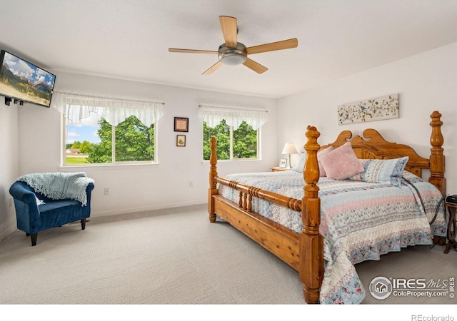 201 Timber Ridge Ct, Severance, CO 80550 - bedroom with baseboards, carpet, and ceiling fan