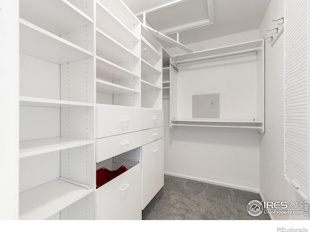 2982 W Long Dr # C, Littleton, CO 80120 - walk in closet with dark colored carpet