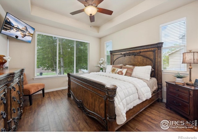 7401 Pimlico Dr, Windsor, CO 80550 - bedroom with dark wood finished floors, baseboards, a raised ceiling, and multiple windows