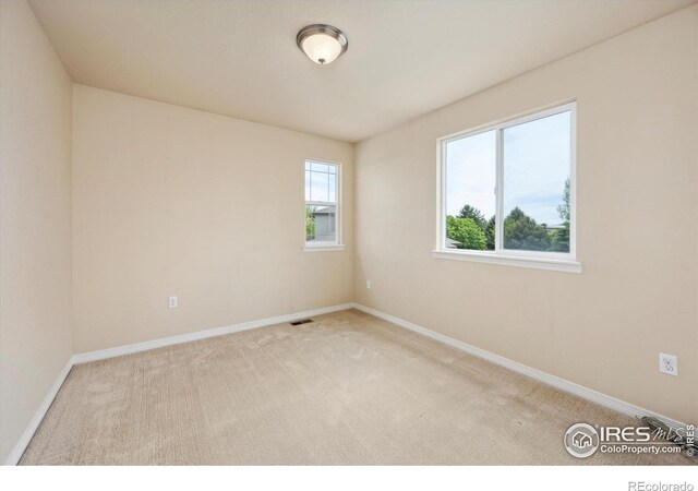 7401 Pimlico Dr, Windsor, CO 80550 - carpeted empty room with baseboards