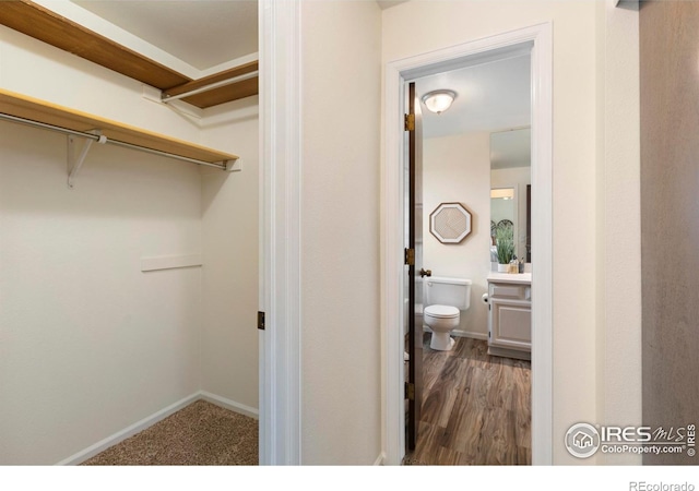 1512 Calkins Ave, Longmont, CO 80501 - view of walk in closet