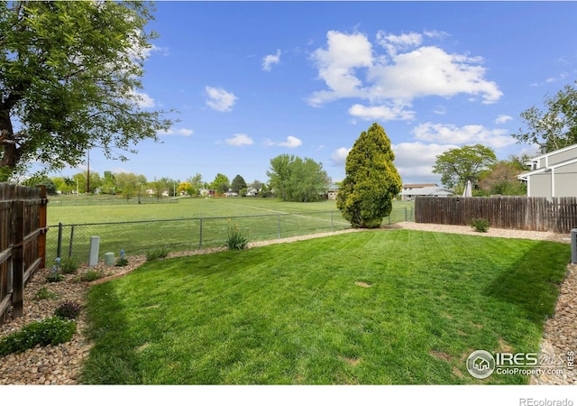 1512 Calkins Ave, Longmont, CO 80501 - view of yard