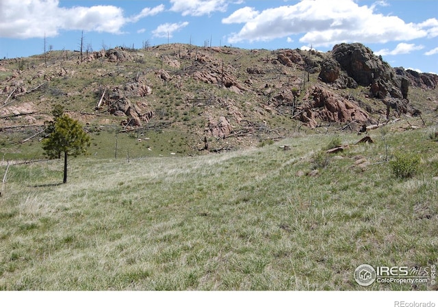 37 Black Mountain Ct, Livermore, CO 80536
