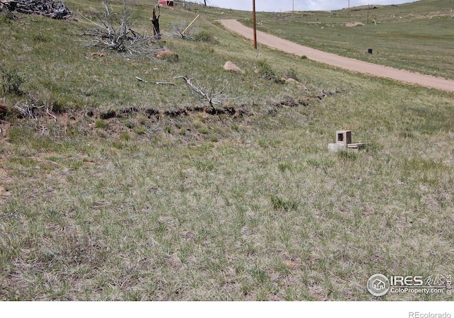 37 Black Mountain Ct, Livermore, CO 80536