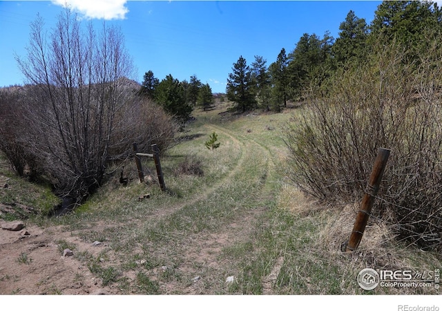 0 W County Road 68c, Red Feather Lakes, CO 80545