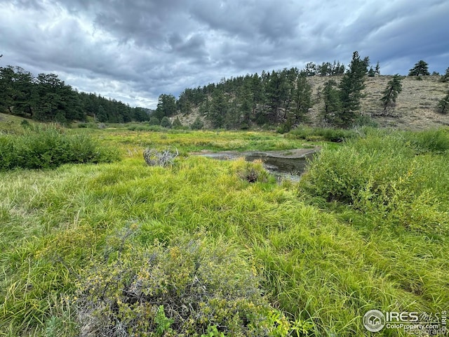 0 W County Road 68c, Red Feather Lakes, CO 80545