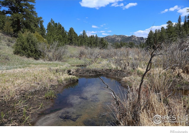 0 W County Road 68c, Red Feather Lakes, CO 80545