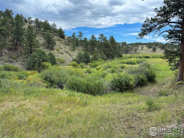 0 W County Road 68c, Red Feather Lakes, CO 80545