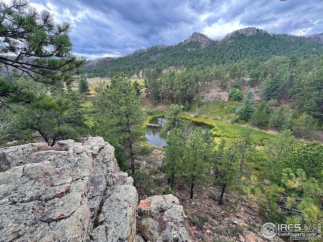 0 W County Road 68c, Red Feather Lakes, CO 80545