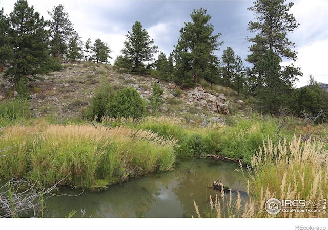 0 W County Road 68c, Red Feather Lakes, CO 80545