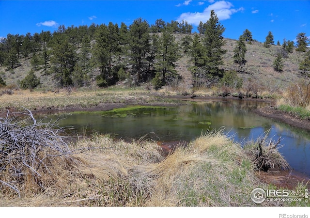 0 W County Road 68c, Red Feather Lakes, CO 80545