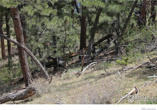 0 W County Road 68c, Red Feather Lakes, CO 80545