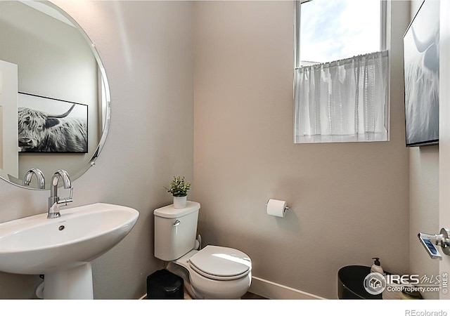 6398 Verna Ct, Timnath, CO 80547 - bathroom with toilet, a sink, and baseboards